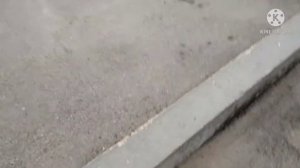 Как отмыть легковой прицеп?