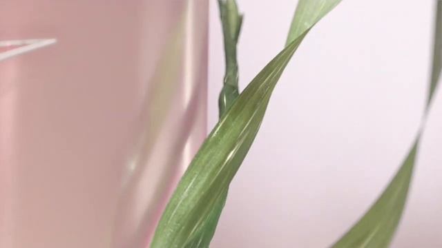 Сыворотка, моделирующая контур лица V Shaping Facial Lift смотреть онлайн