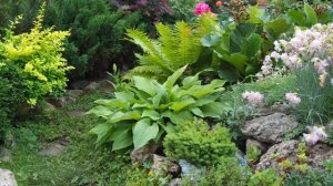 АЛЬПИЙСКАЯ ГОРКА / Своими руками