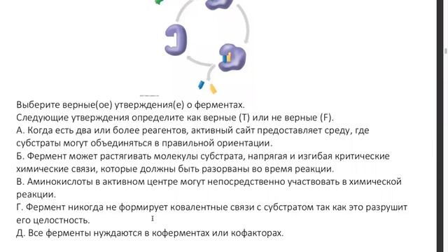Разбор заданий ОРЕ-1 по биологии (26.09.2020). Часть 1