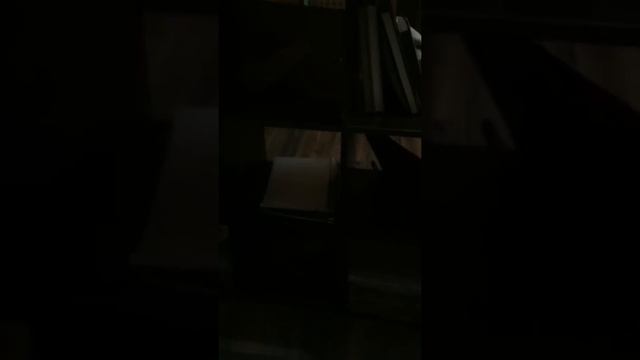 Бенгальский двухмесячный котёнок. Третий день дрессировки. смотреть онлайн