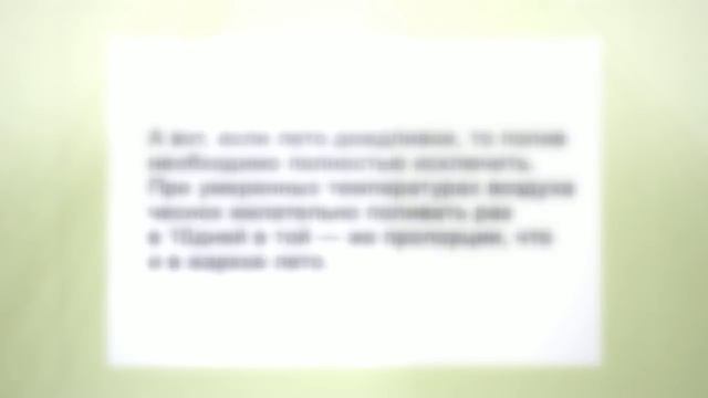 Как посадить зимний чеснок смотреть онлайн