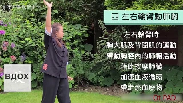 Дыхательная гимнастика для укрепления легких. Традиционная китайская медицина от PADarte.