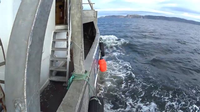 Северный Ледовитый океан смотреть онлайн