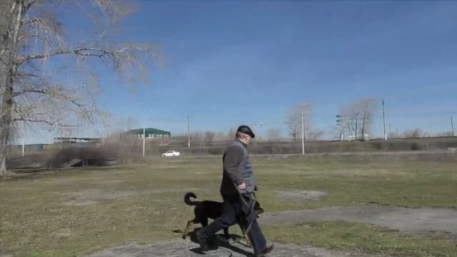 Тянем потянем смотреть онлайн