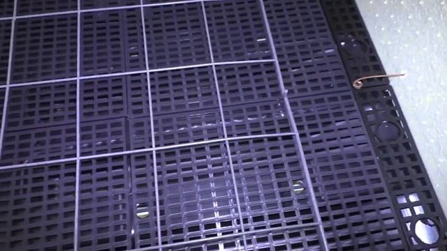 Инкубатор Золушка первая закладка яиц