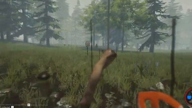 A kezdet | The Forest | #1 смотреть онлайн