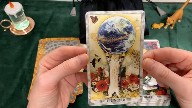 Обзор колоды « Grimalkin Tarot»?⬛ смотреть онлайн
