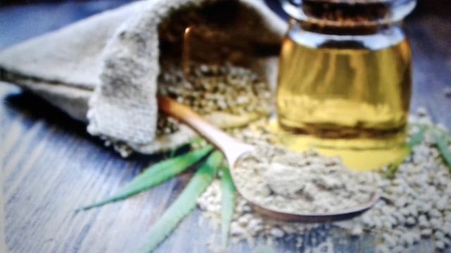Конопляное масло полезные свойства смотреть онлайн