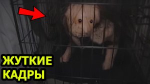 5 СТРАШНЫХ Видео не для Слабонервных. Мистика. Реальные кадры