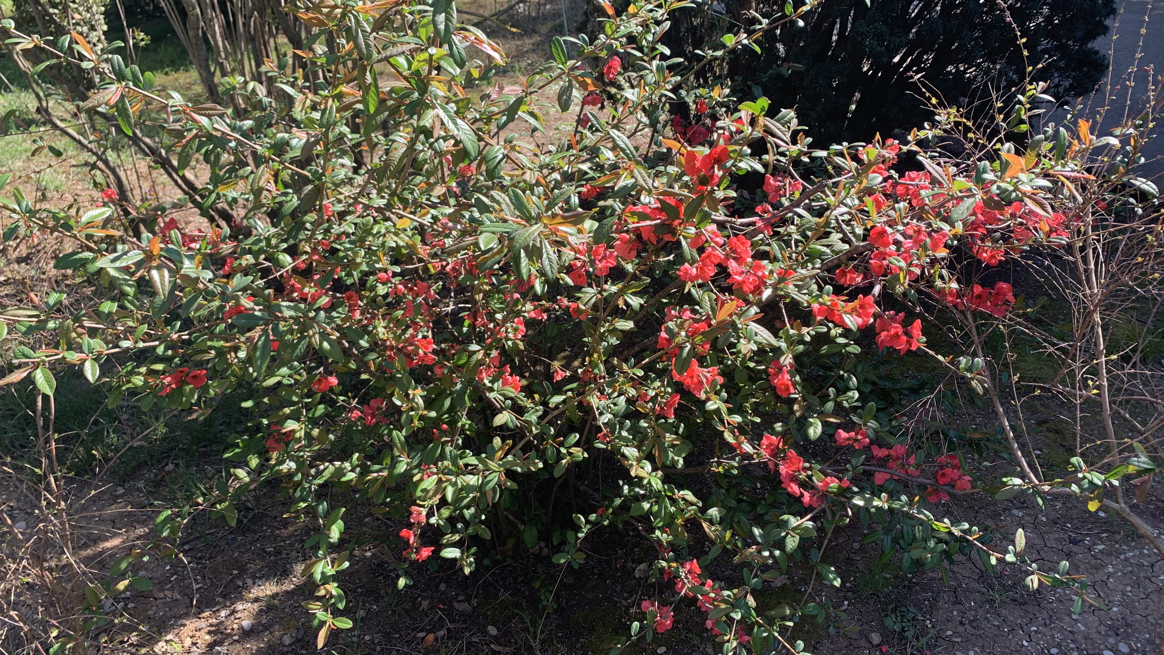 Крым. ЮБК. Гаспра. [4K] Очень красивые облака! ☁️ Запись от 04.05.24 #андрейкрымский #artemiikrym смотреть онлайн