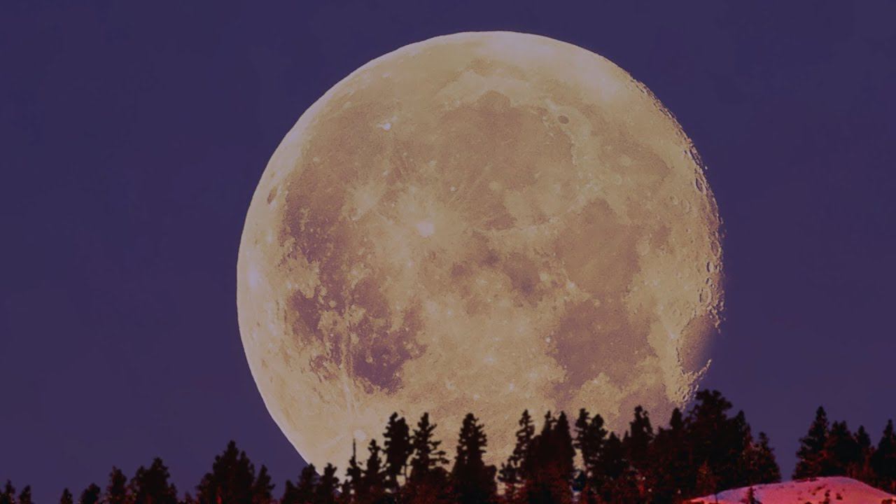 Луна над лесом - зум #Shorts смотреть онлайн