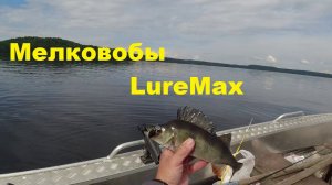 Тест мелковобов ЛуреМакс по окуню