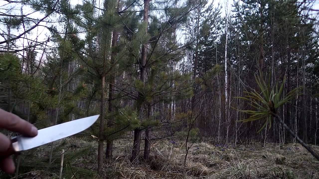 Чем очистить нож в лесу смотреть онлайн