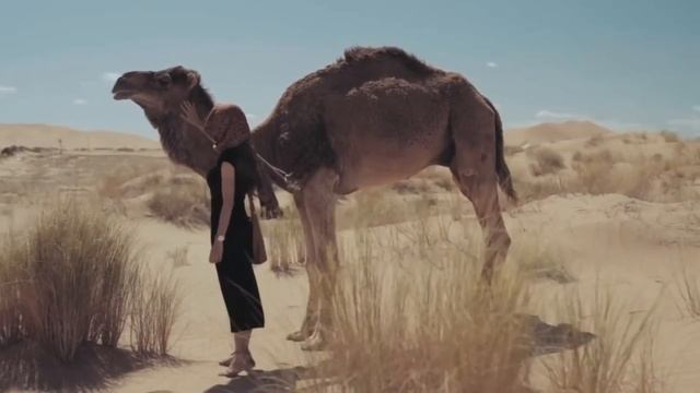 Почему арабы пишут справа налево смотреть онлайн