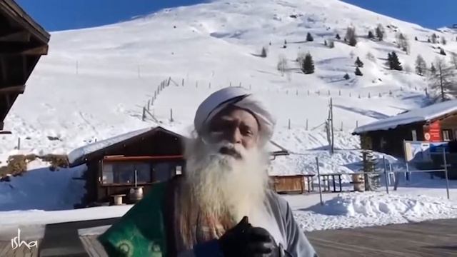 Тест на иллюзии вашего ума Критический ум — путь к шизофрении! смотреть онлайн