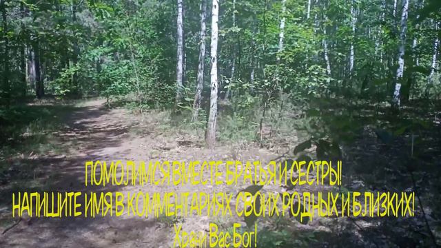 ВКЛЮЧИ СЕЙЧАС И ВСЕ БУДЕТ ИСПОЛНЯТЬСЯ смотреть онлайн