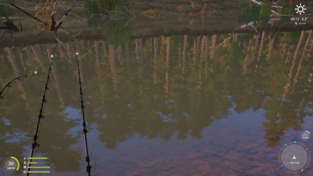 Russian Fishing 4 - Winding Rivulet - Nase Trophy - #39 смотреть онлайн