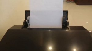 EPSON L805 | How to print Test Page Without Pc