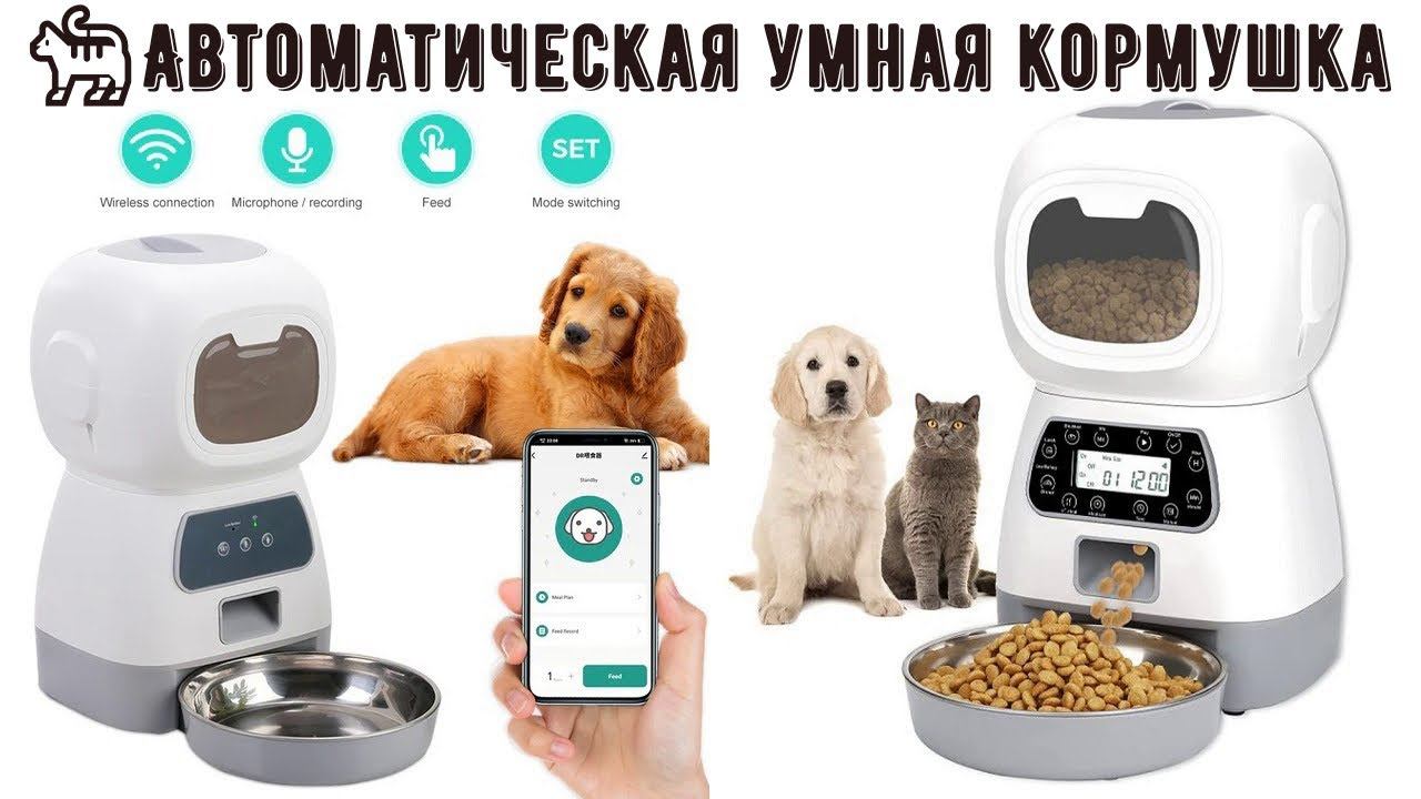 Автоматическая умная кормушка для домашних животных смотреть онлайн