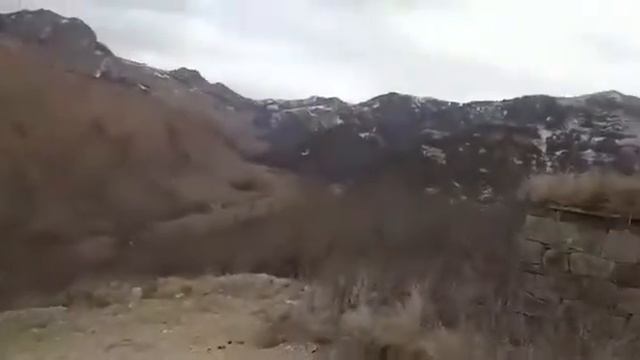 8 декабря 2021 г. смотреть онлайн