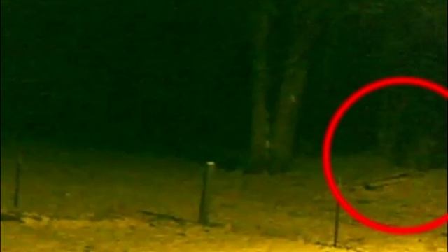 Параллельный мир. Parallel World