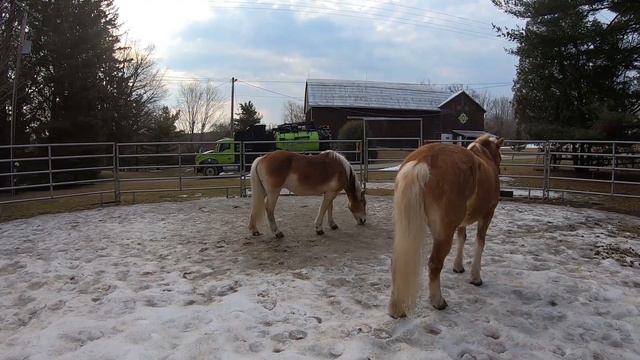 a pair of poops 💩💩 смотреть онлайн