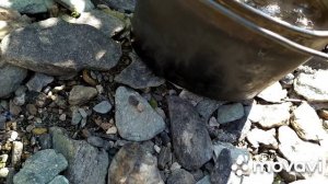 Хариус нахлыстом в Новосибирской области 2.Fly fishing a small stream for grayling 2.