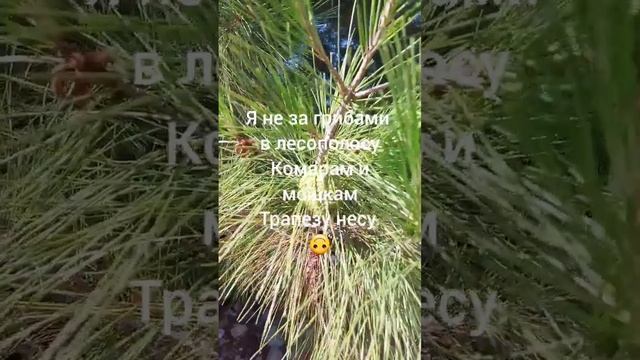 Стишки пирожки, автор: estь смотреть онлайн