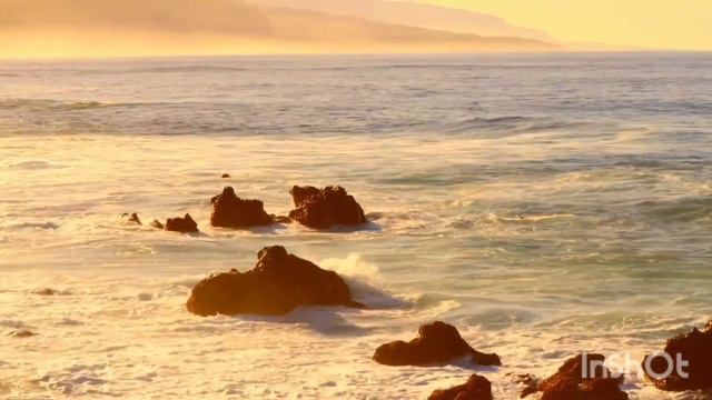 Океан 🌅🐬🐬🐬 смотреть онлайн