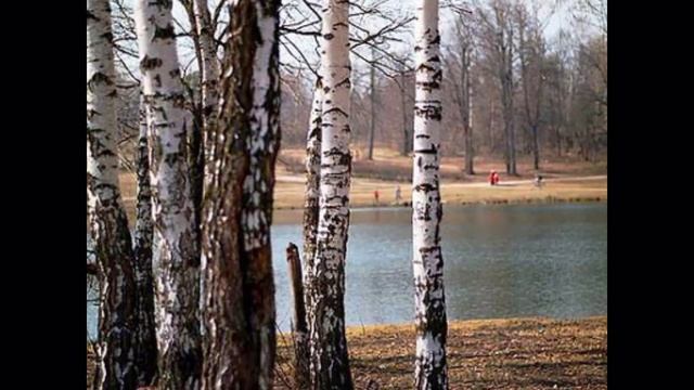 Весна, весна пора любви смотреть онлайн