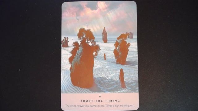 Trust the Timing, THE STARSEED ORACLE смотреть онлайн