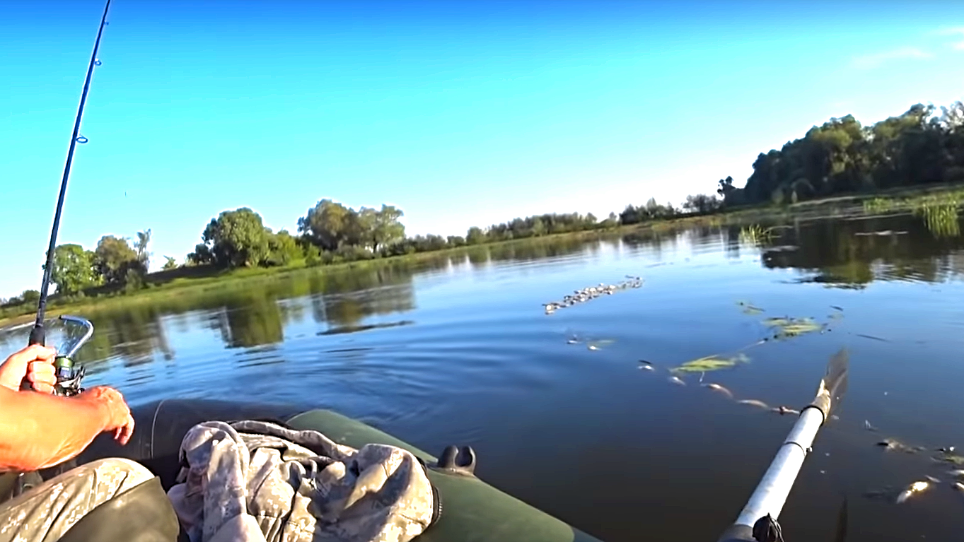 НАШЛИ СЕТЬ ПОЛНУЮ РЫБЫ ! РЫБАЛКА НА ВОБЛЕРЫ 2020! Рыбалка на спиннинг! смотреть онлайн