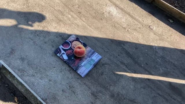 Персик Белый Лебедь в Воронеже 06.08.2020. 4К смотреть онлайн