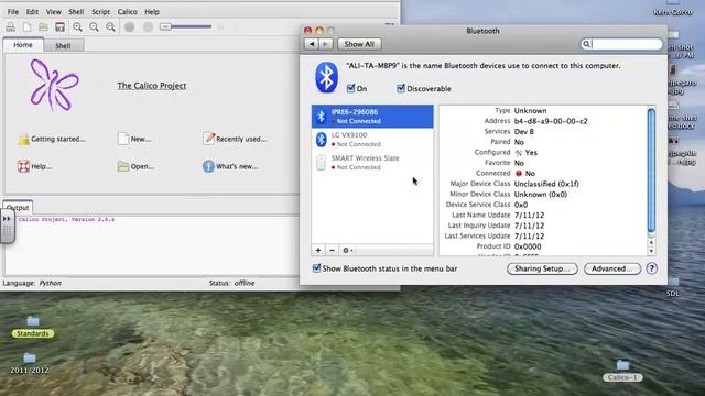 Starting Calico смотреть онлайн