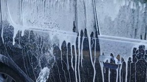 Мойка Worx первый тест пеногенератора