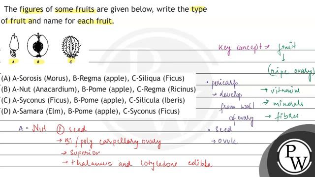 The figures of some fruits are given below, write the type of fruit and name for each fruit.
A
(... смотреть онлайн
