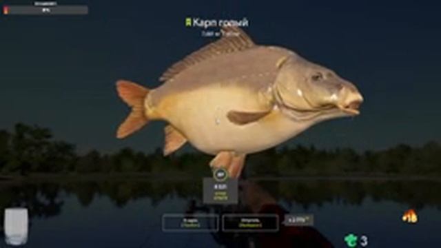?STREAM? ? Русская рыбалка 4 ? смотреть онлайн