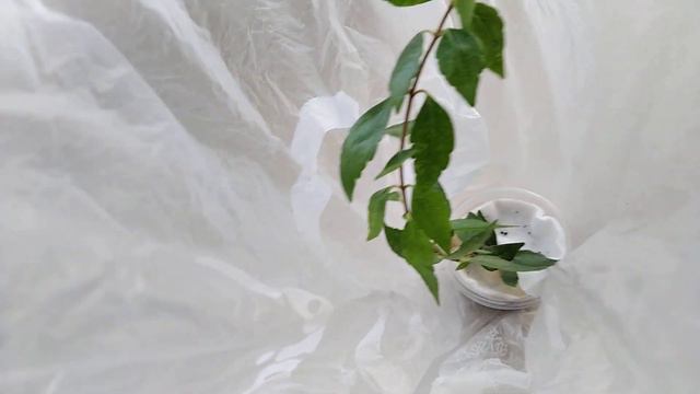 Мои покупки. смотреть онлайн