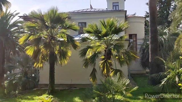 Дендрарий в Сочи?/Гуляем/Фото на память?/Вилла Надежда смотреть онлайн