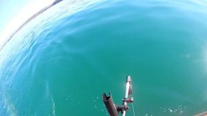 ТРОЛЛИНГ СИМЫ!!! КЛЁВ ПОШЁЛ!!!ОТКРЫЛ СЕЗОН 2021г.