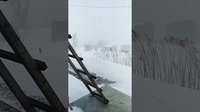 Метель Сахалин 20.02.2022 смотреть онлайн