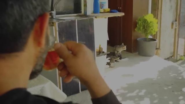 We bought 22 chickens from the market and cooked them!!! Meatball Soup Recipe! смотреть онлайн