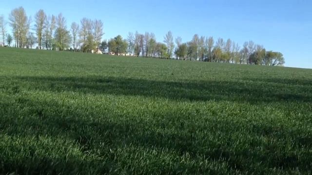 Веселая разминка смотреть онлайн
