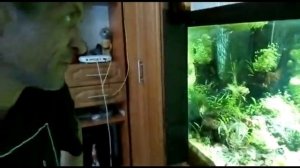 Лава в аквариуме