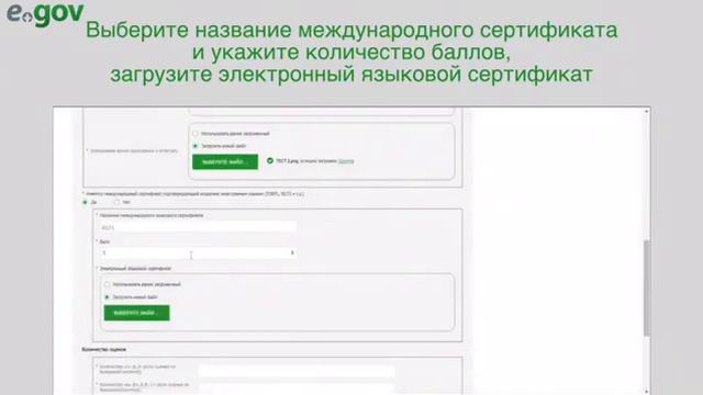 инструкция для участие на грант смотреть онлайн