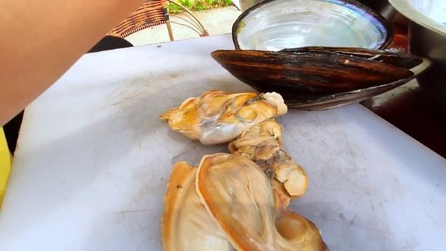 10000 pearl shells! Can I find high quality pearls from 10,000 freshwater pearl shells? смотреть онлайн