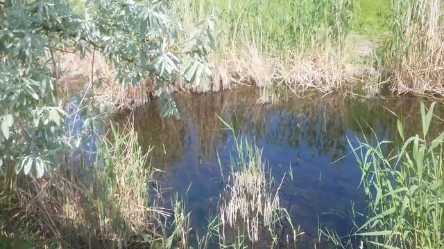 Рыбалка в Запорожье 24 мая 2022 год смотреть онлайн