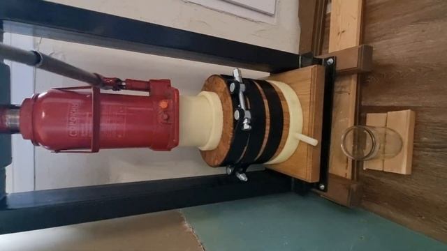 Масло грецкого ореха холодного отжима Саратов