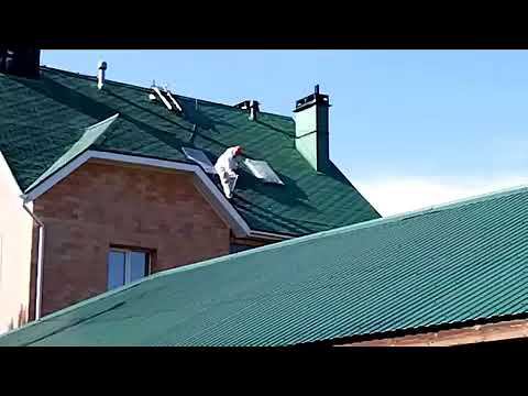 КАК СДЕЛАТЬ КРЫШУ И РЕМОНТ КРОВЛИ УФ-СТОЙКОЙ ЖИДКОЙ РЕЗИНОЙ ЛКМ СССР ? смотреть онлайн